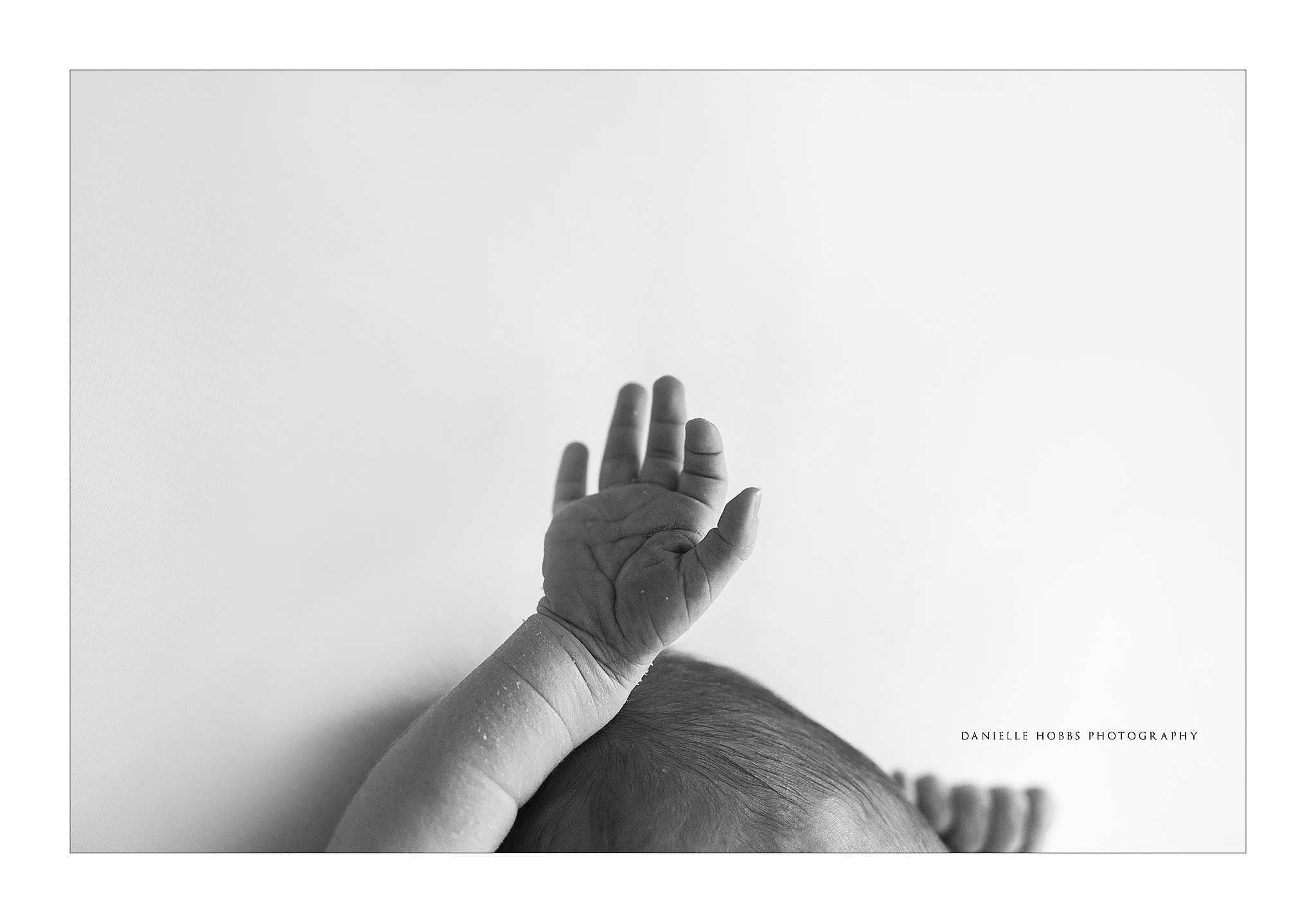 Newborn baby hand Annandale VA