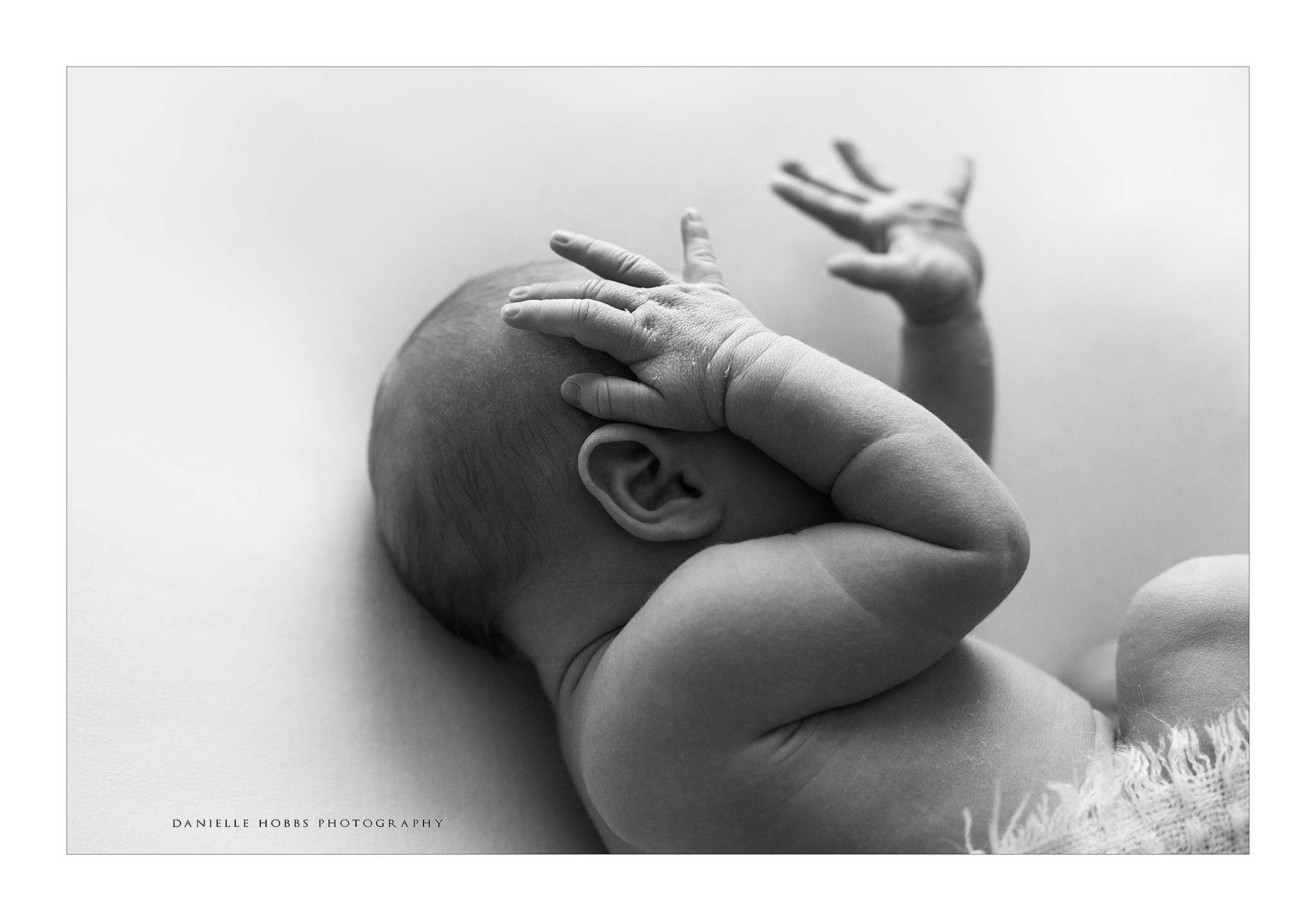 dc newborn photography, simple 