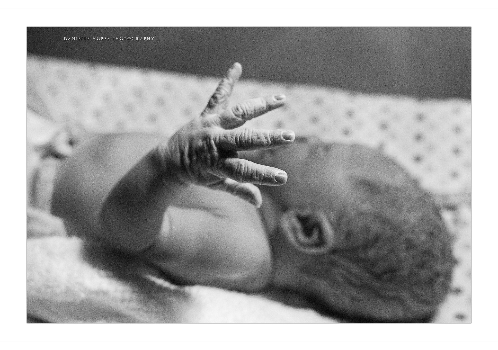 northern virginia birth photography