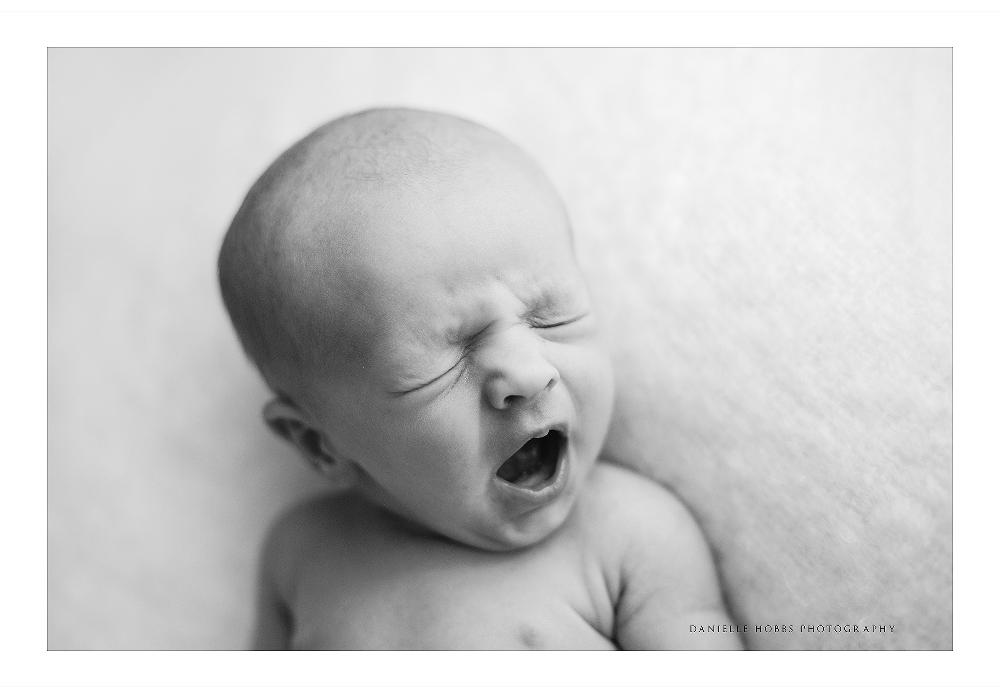 NOVA newborn photographer