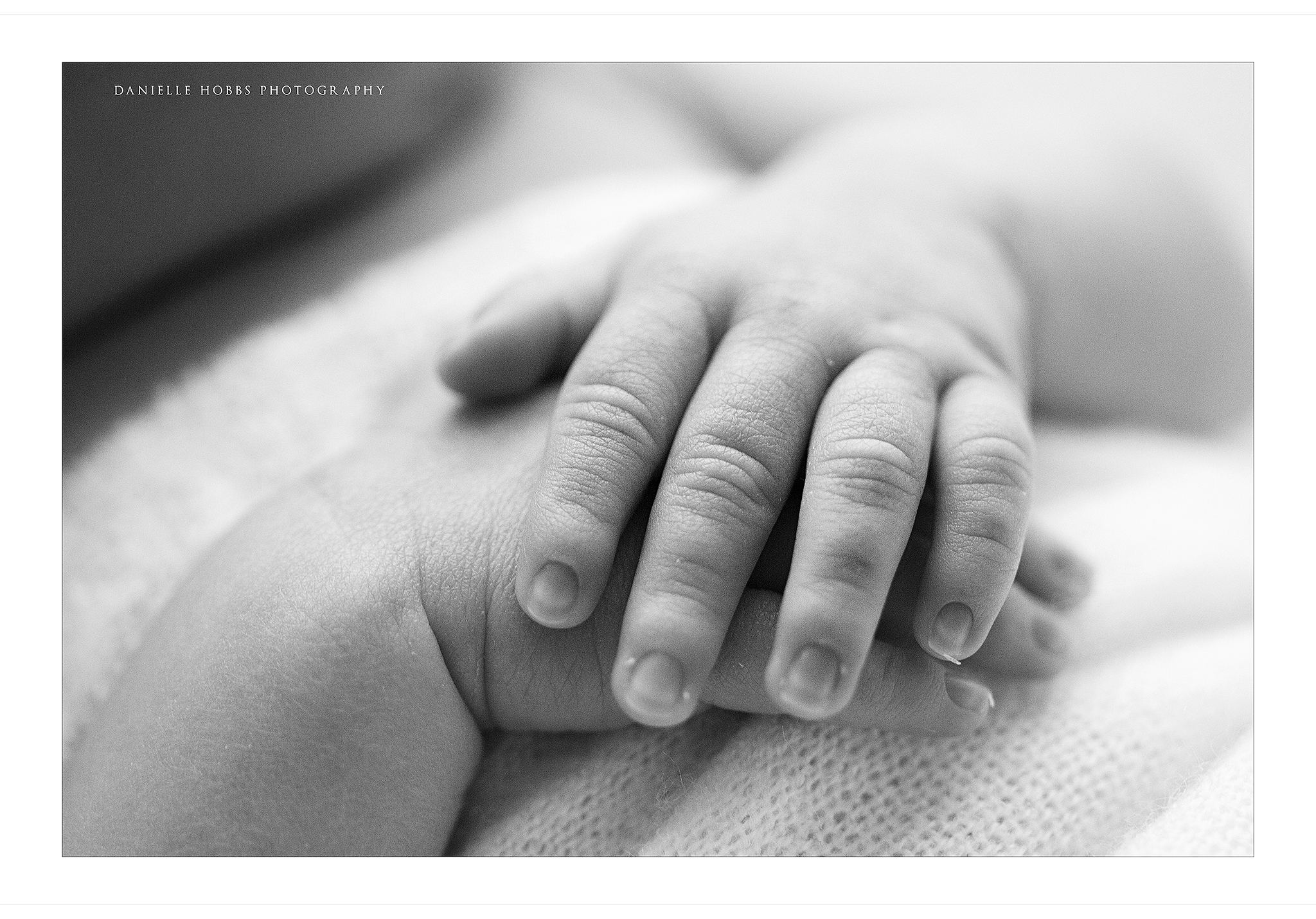 newborn macro hands Woodbridge VA