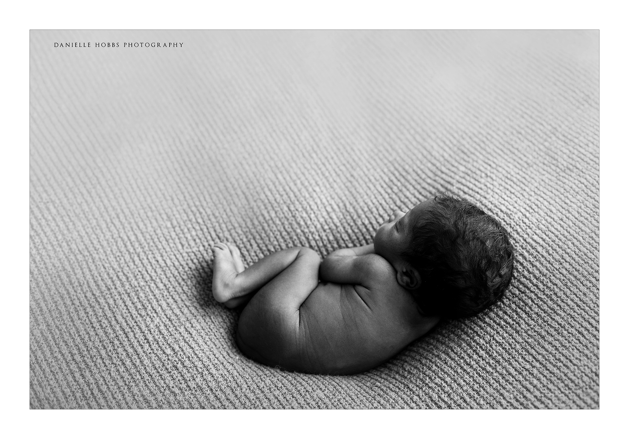 Black and White newborn picture Alexandria VA