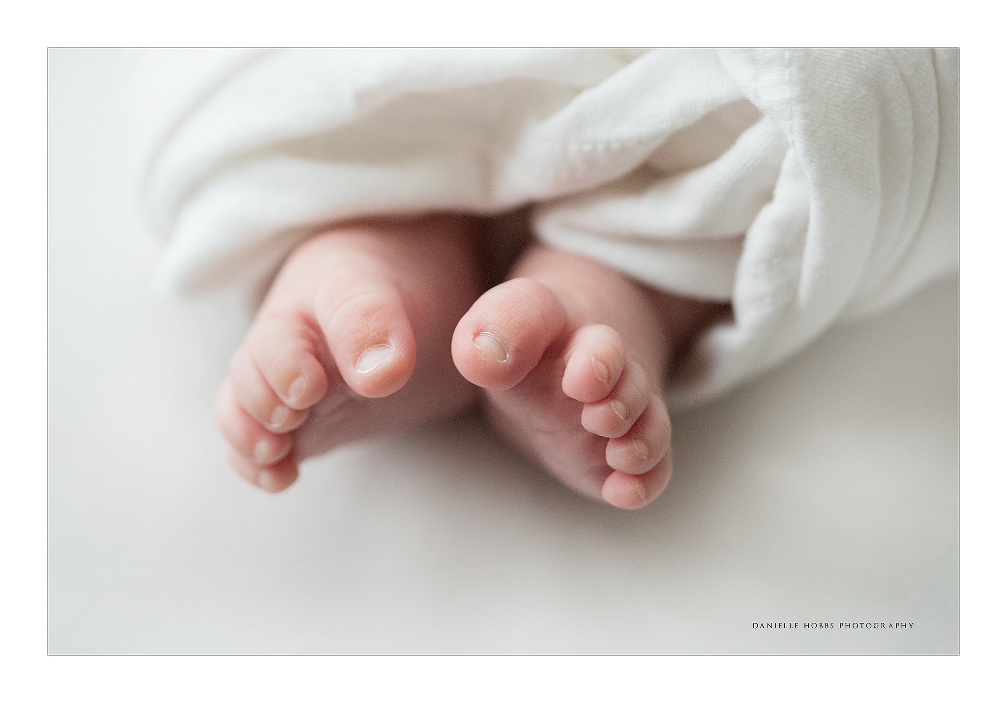 Newborn Baby toes Alexandria VA