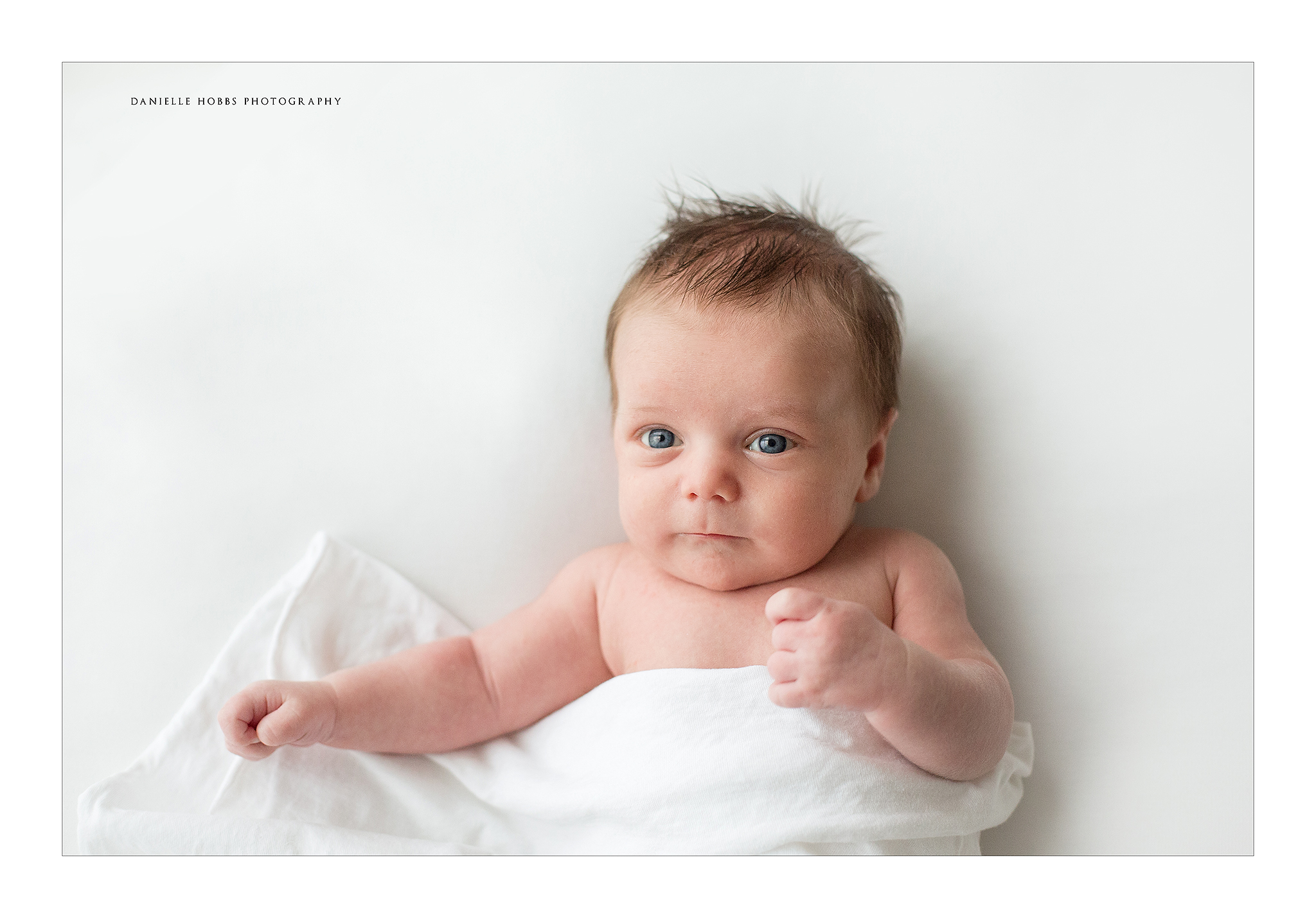 Newborn Baby Portraits Alexandria VA