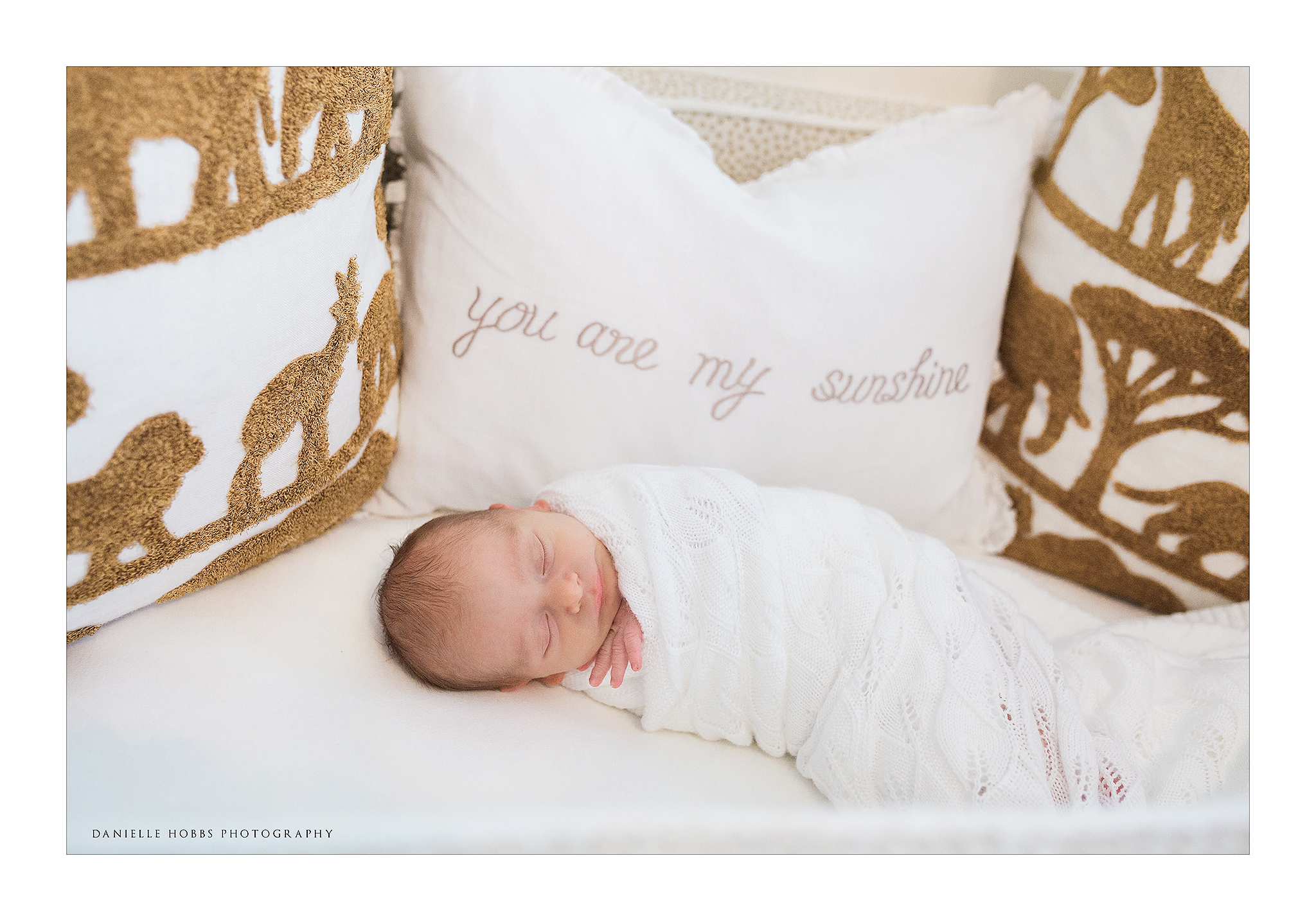 Newborn in crib DC Lifestyle Photography