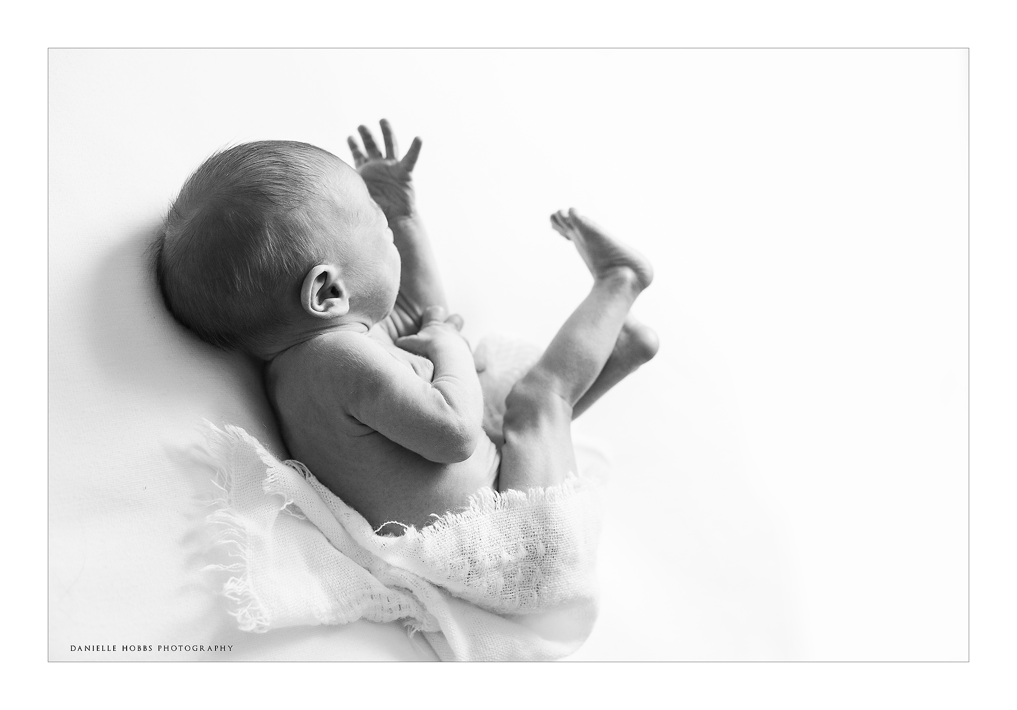 Baby Led Newborn posing