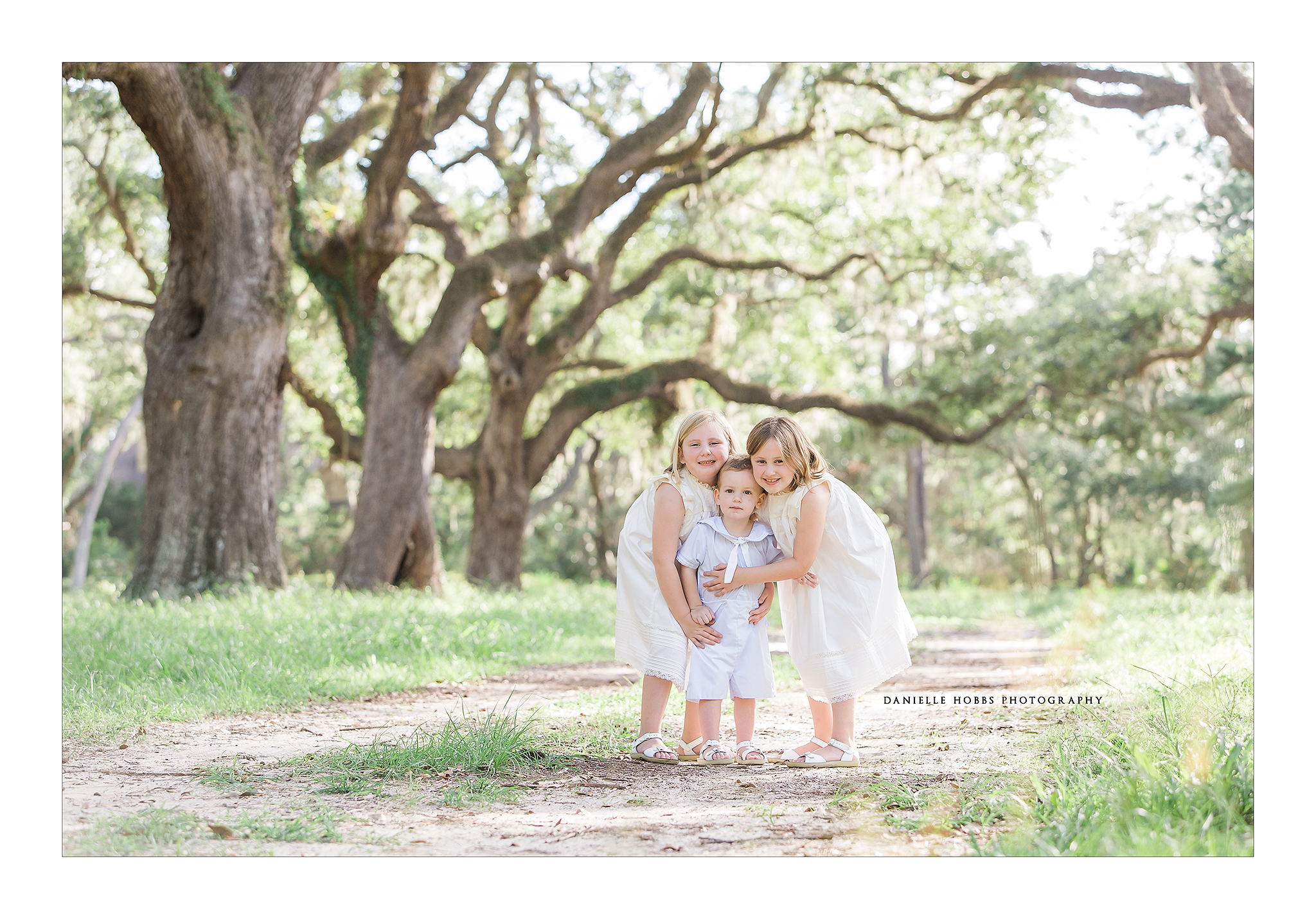 Avenue of Oaks at Sea Pines