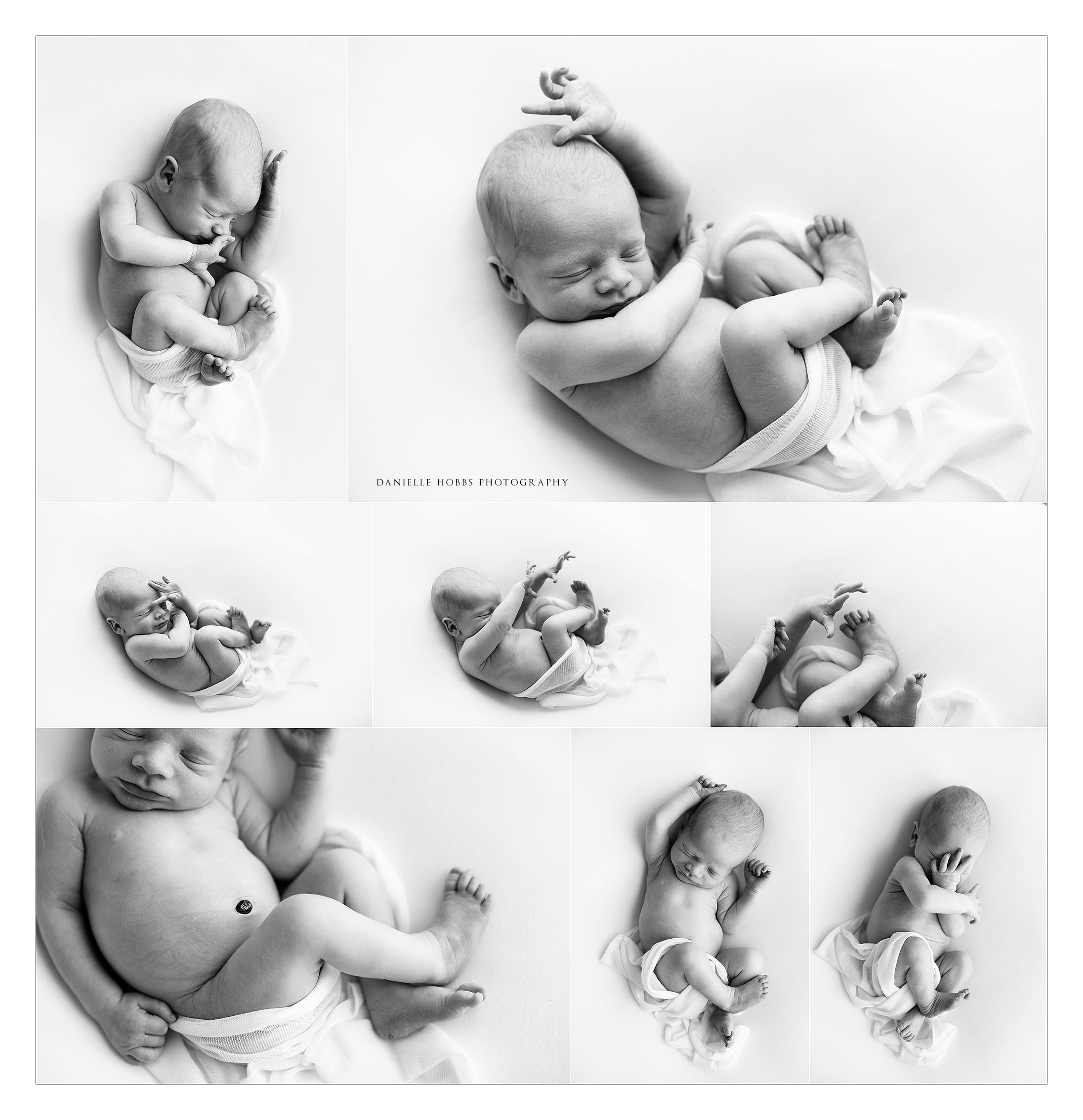 baby led newborn photography washington dc