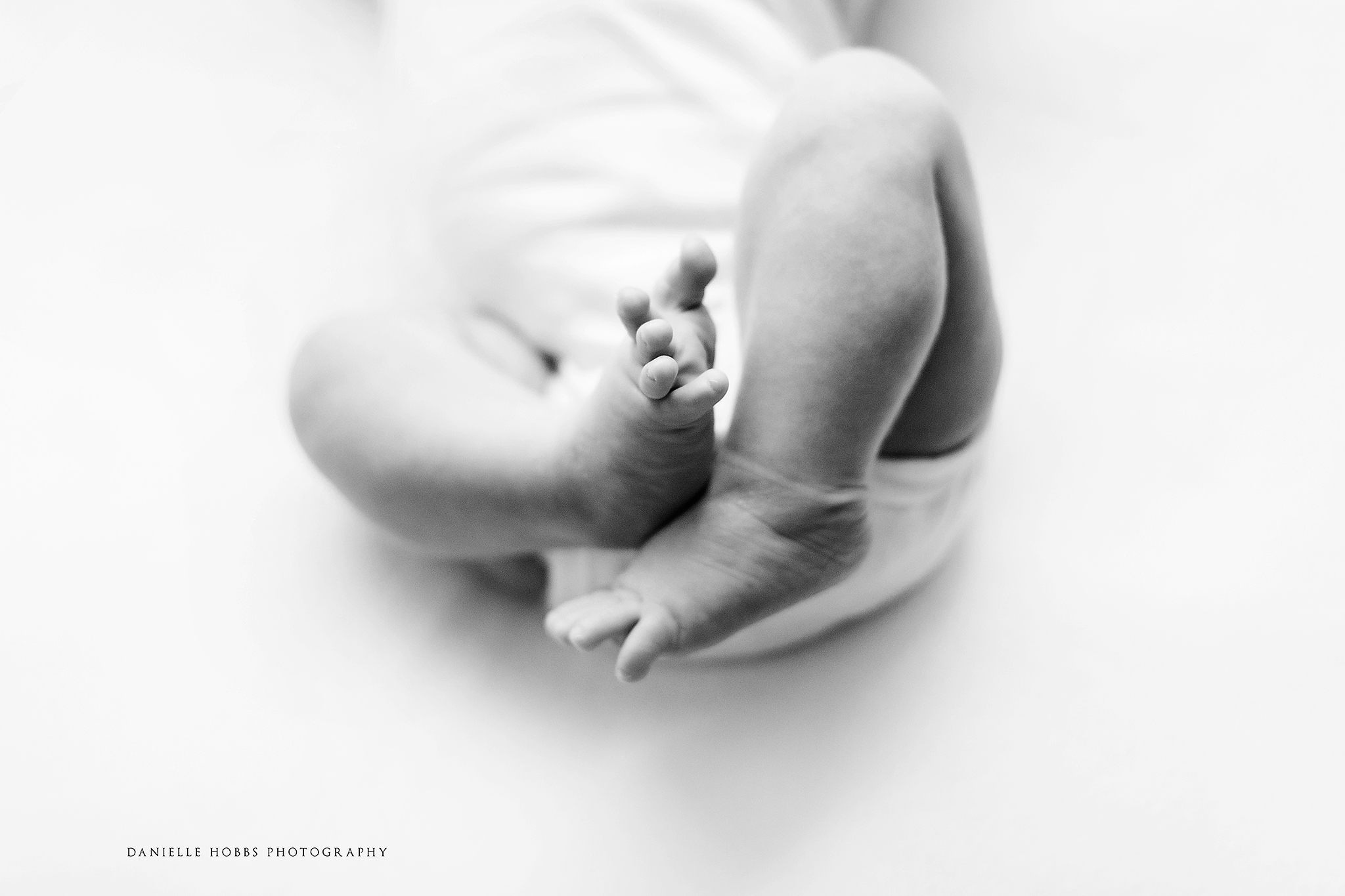Best Newborn Photographer in Gainesville Virginia Newborn Baby Photo Session