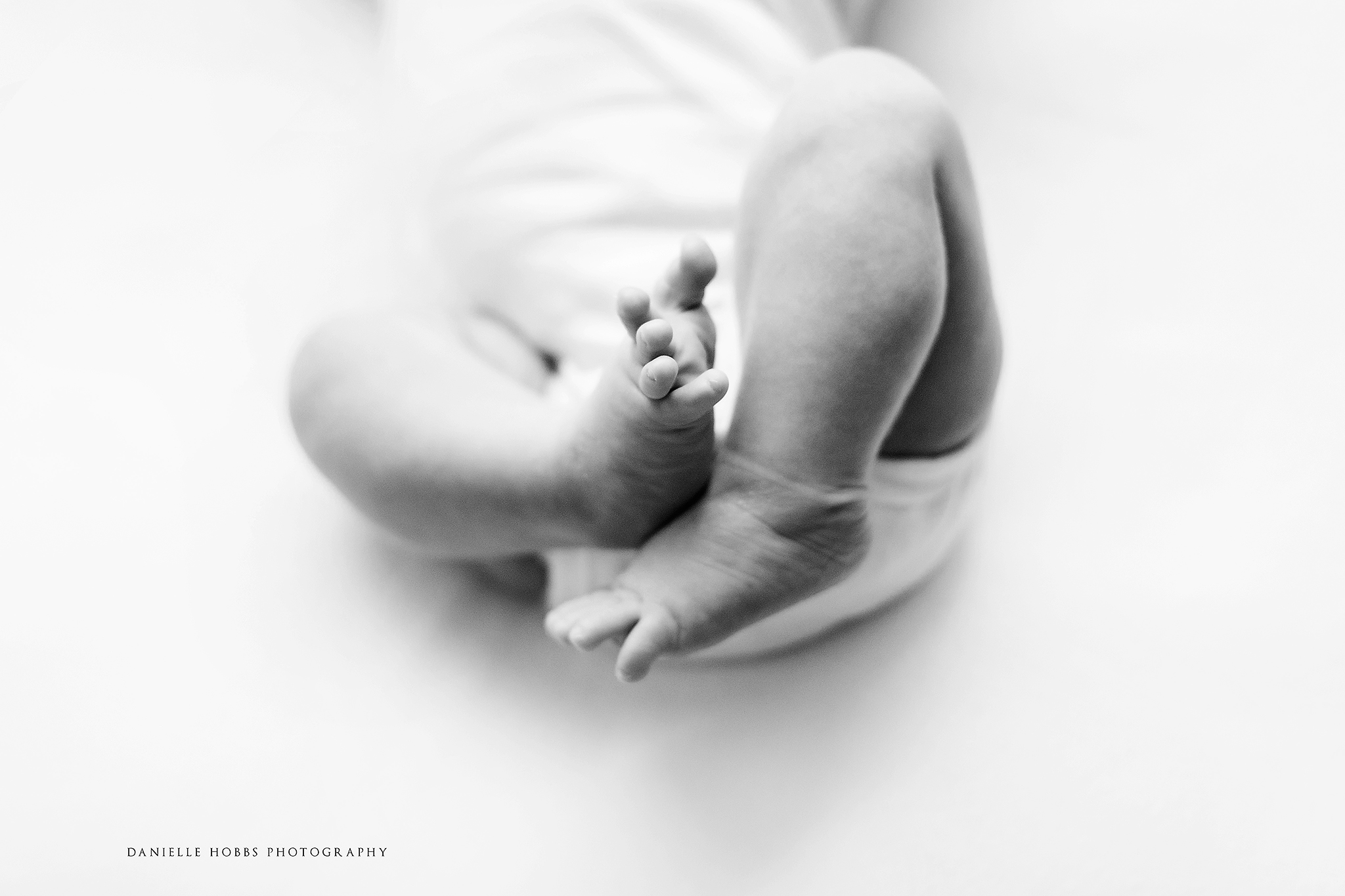 Best Newborn Photographer in Gainesville Virginia Newborn Baby Photo Session