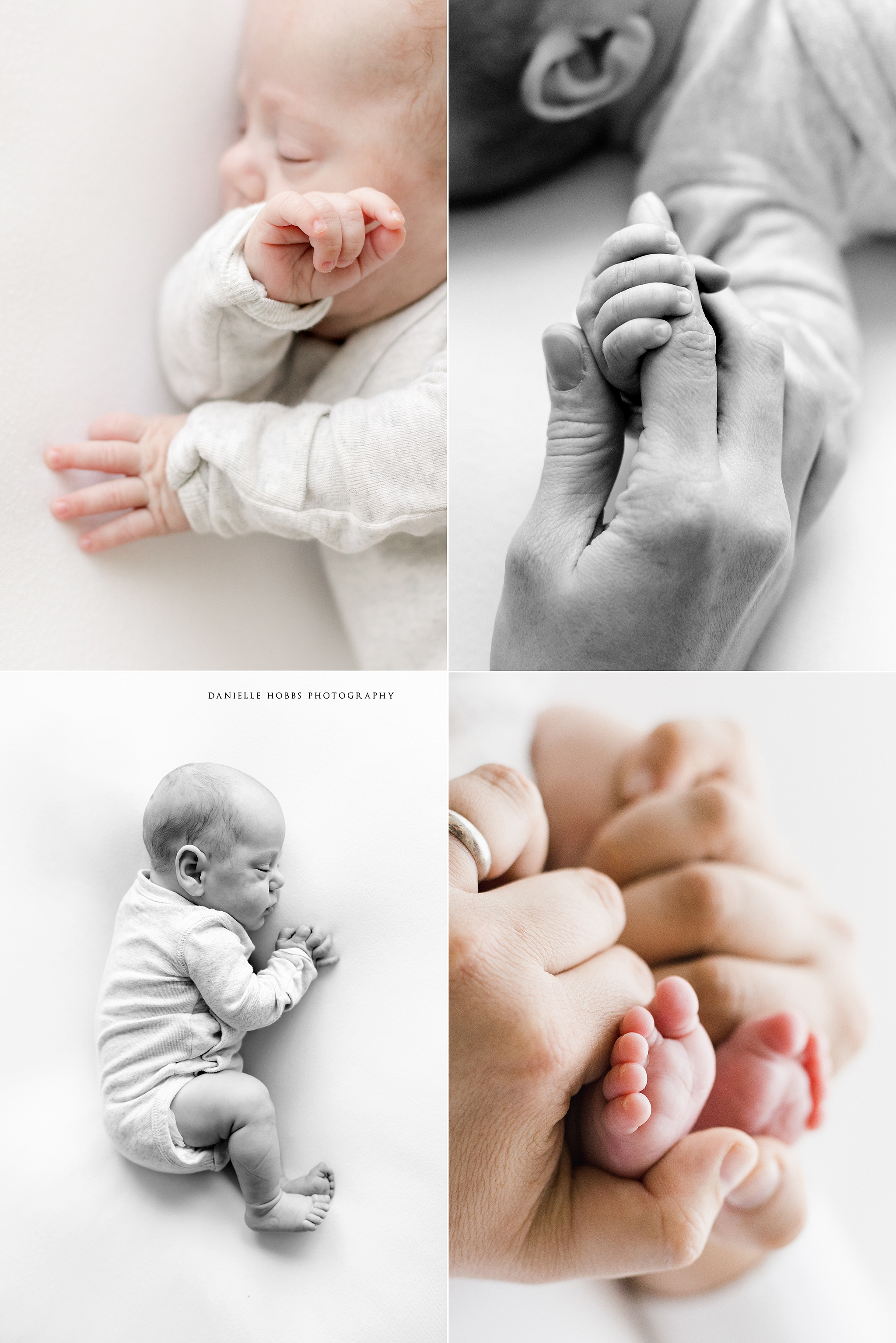 Sweet Baby Boy Newborn Session | NOVA Newborn Photographer