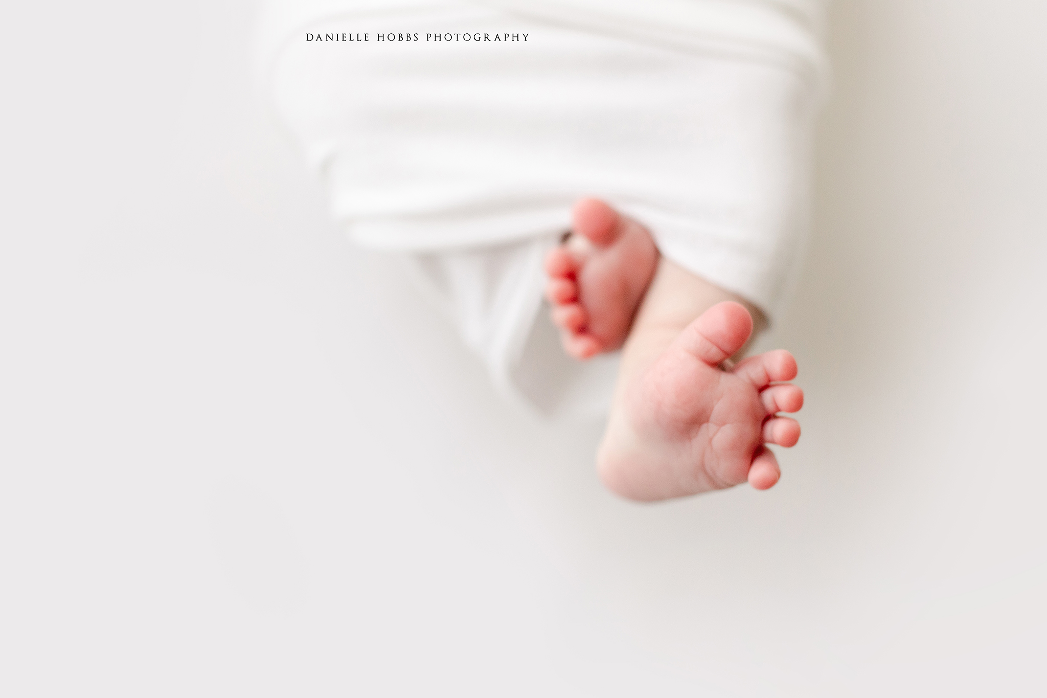 Sweet Baby Boy Newborn Session | NOVA Newborn Photographer