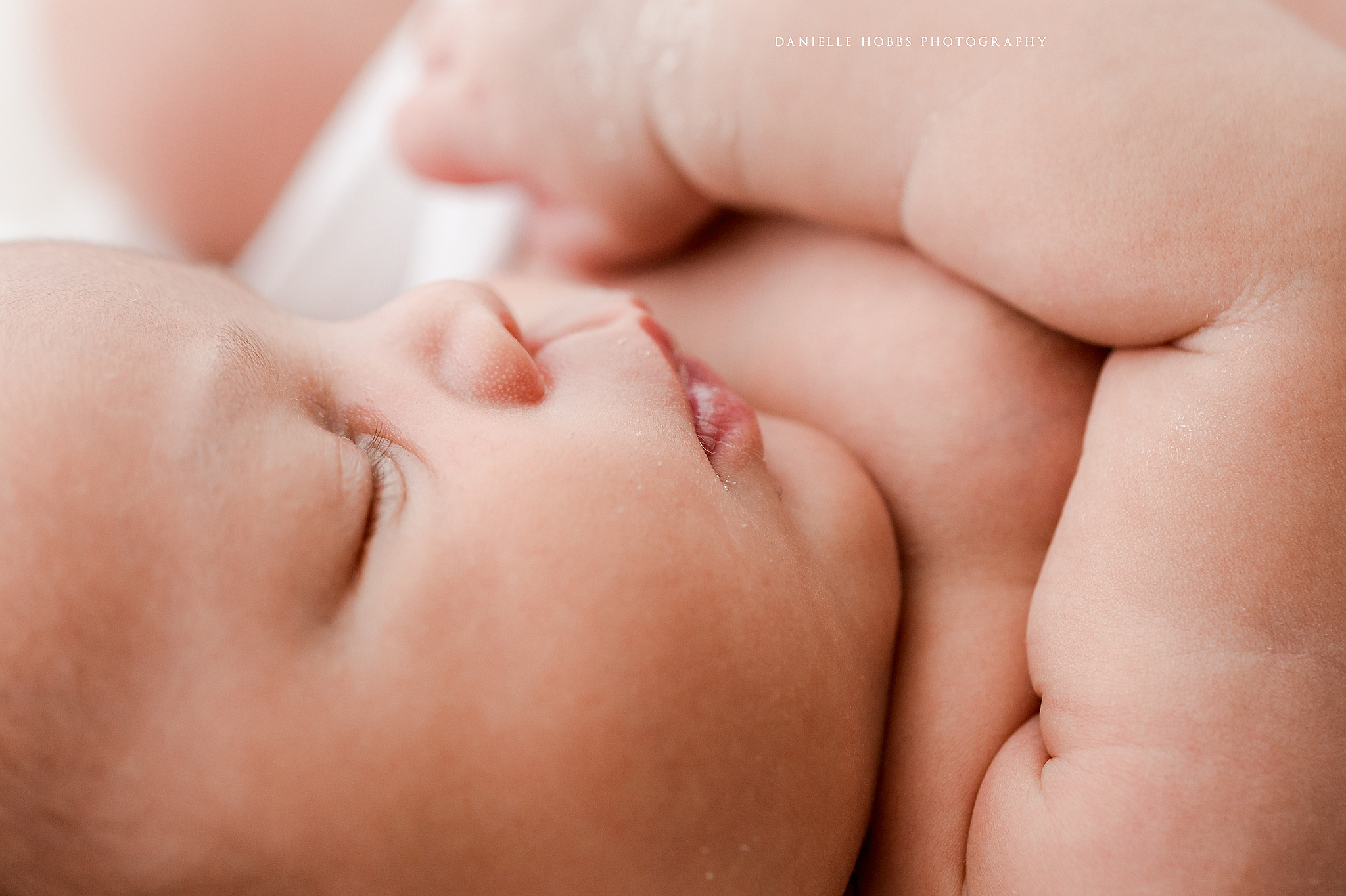 Best Newborn Photographer in Gainesville Virginia Newborn Baby Photo Session