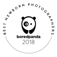 voted best newborn photographer virgina 2018 bored panda