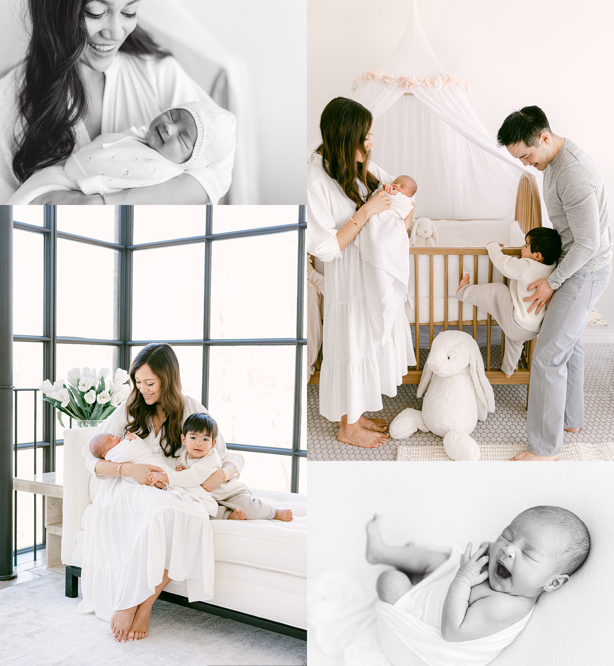 Washington DC Newborn Session Danielle Hobbs Photography 2781