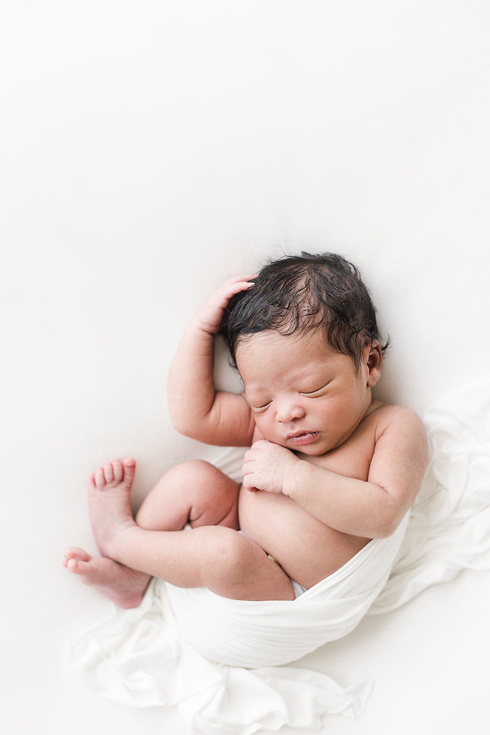 arlington va newborn photography arlington va newborn photography