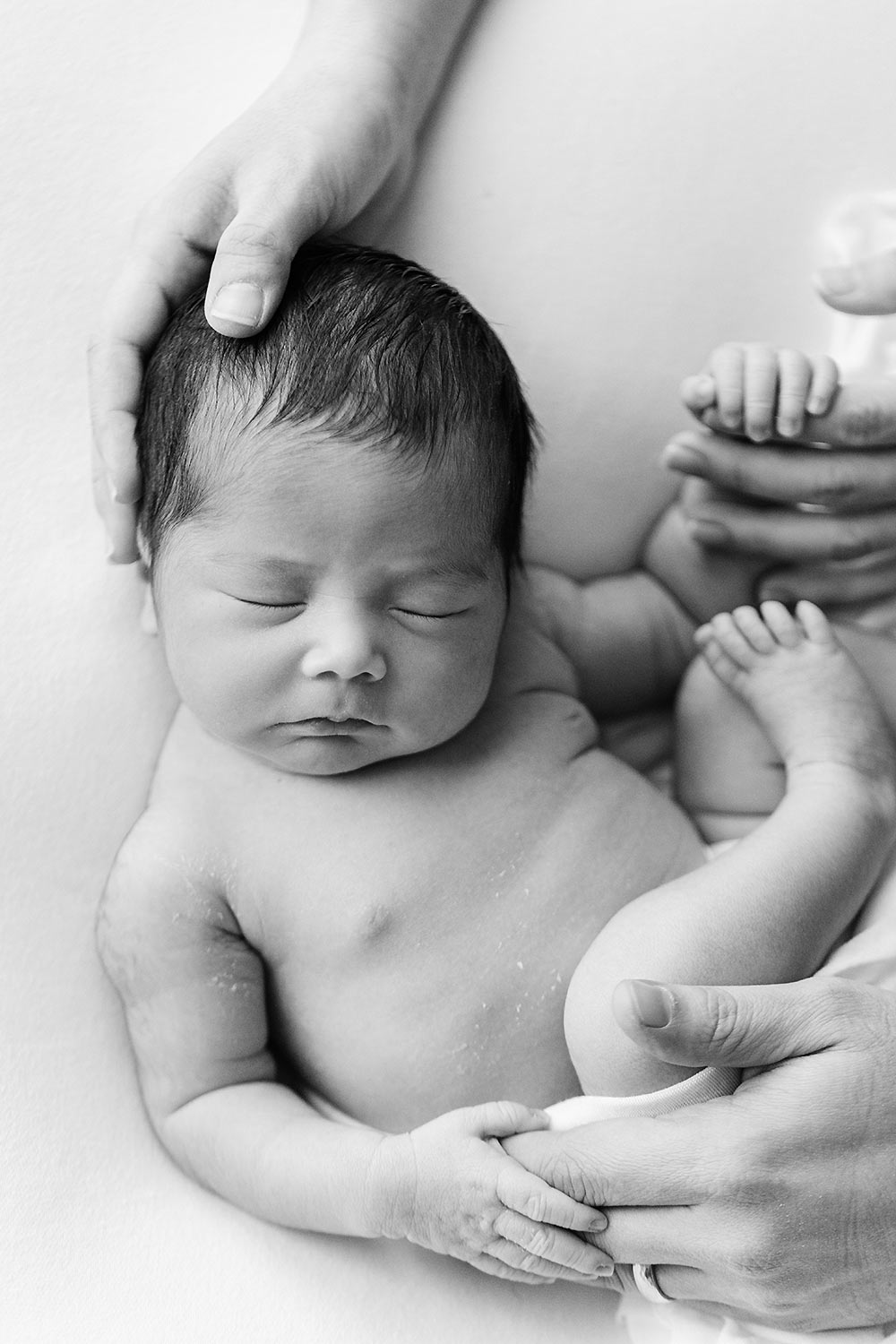 middleburg va newborn photographers middleburg va newborn photographers