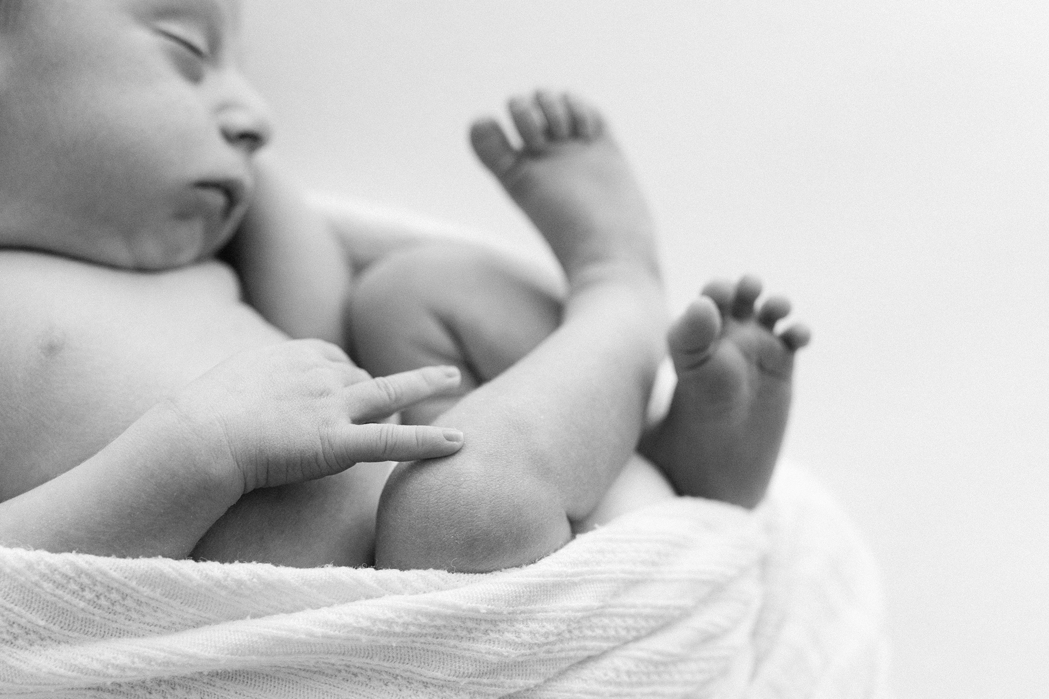 web novanewbornworkshop03